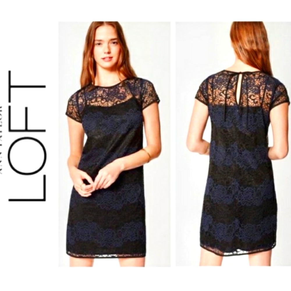 Anne Taylor Loft Navy and Black Lace Shift Dress Size (8)